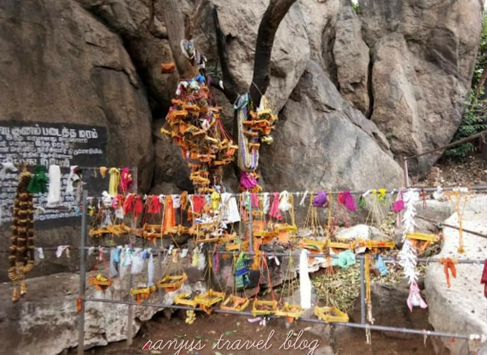 Azhinjal Tree Padalathri Narasimhar temple – Ranjus travel blog